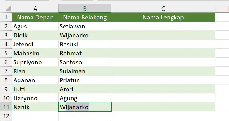 Autocomplete di Excel.