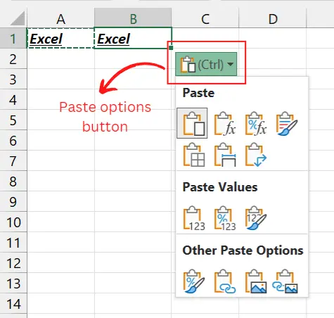 Tombol Paste Options.