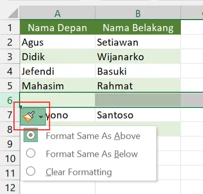 Tombol Insert Options.