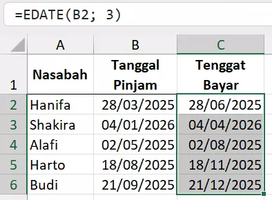 hasil-fungsi-edate-excel.xlsx