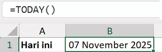 Rumus standar fungsi TODAY().