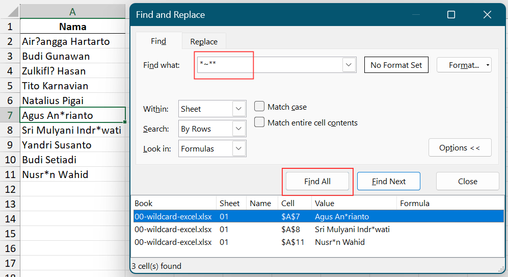 Mencari teks di worksheet dengan wildcard.