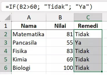 Rumus SUM untuk evaluasi nilai.